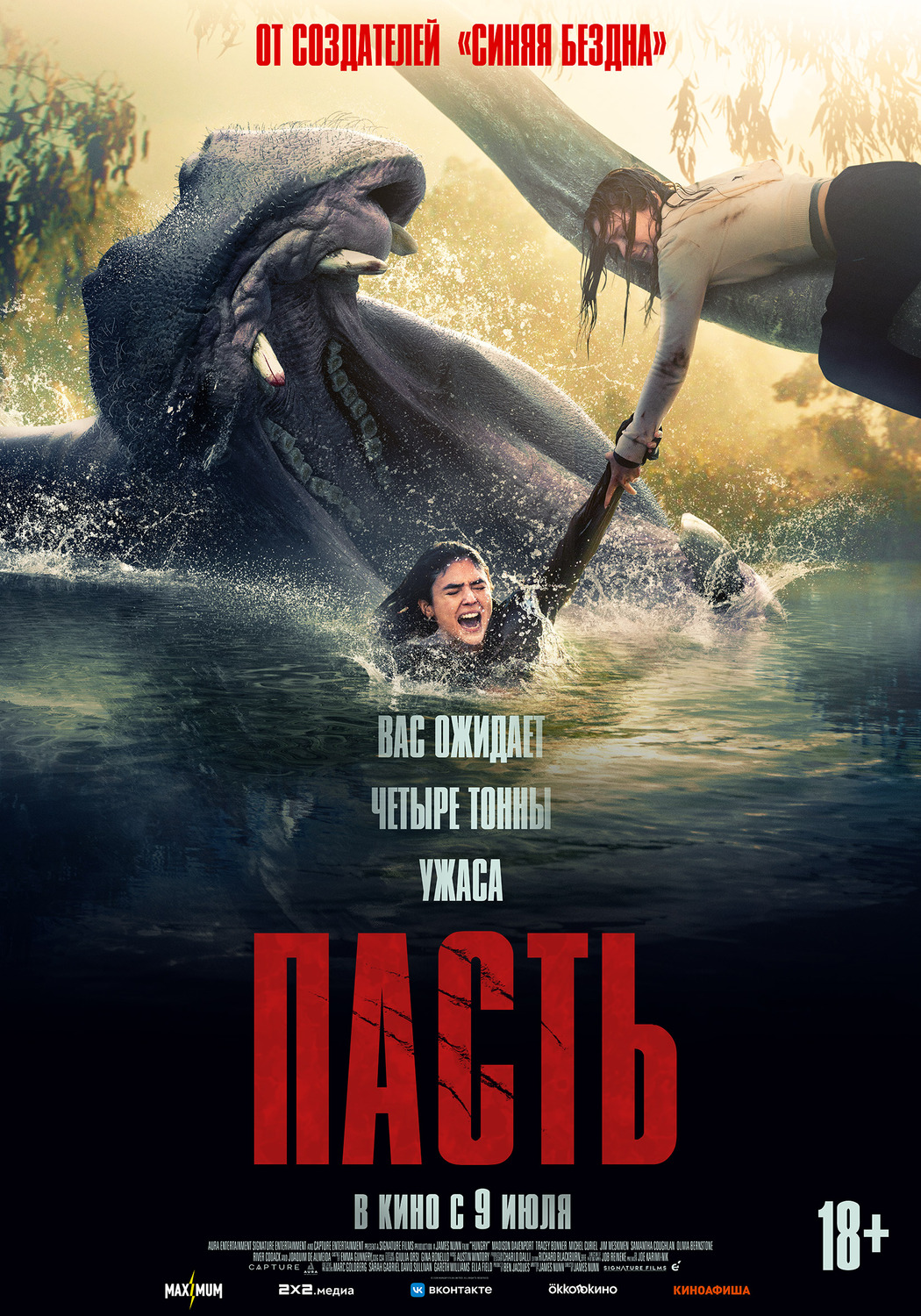 Пасть &nbsp;